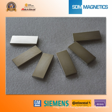 Segment Permanent Neodymium Magnets